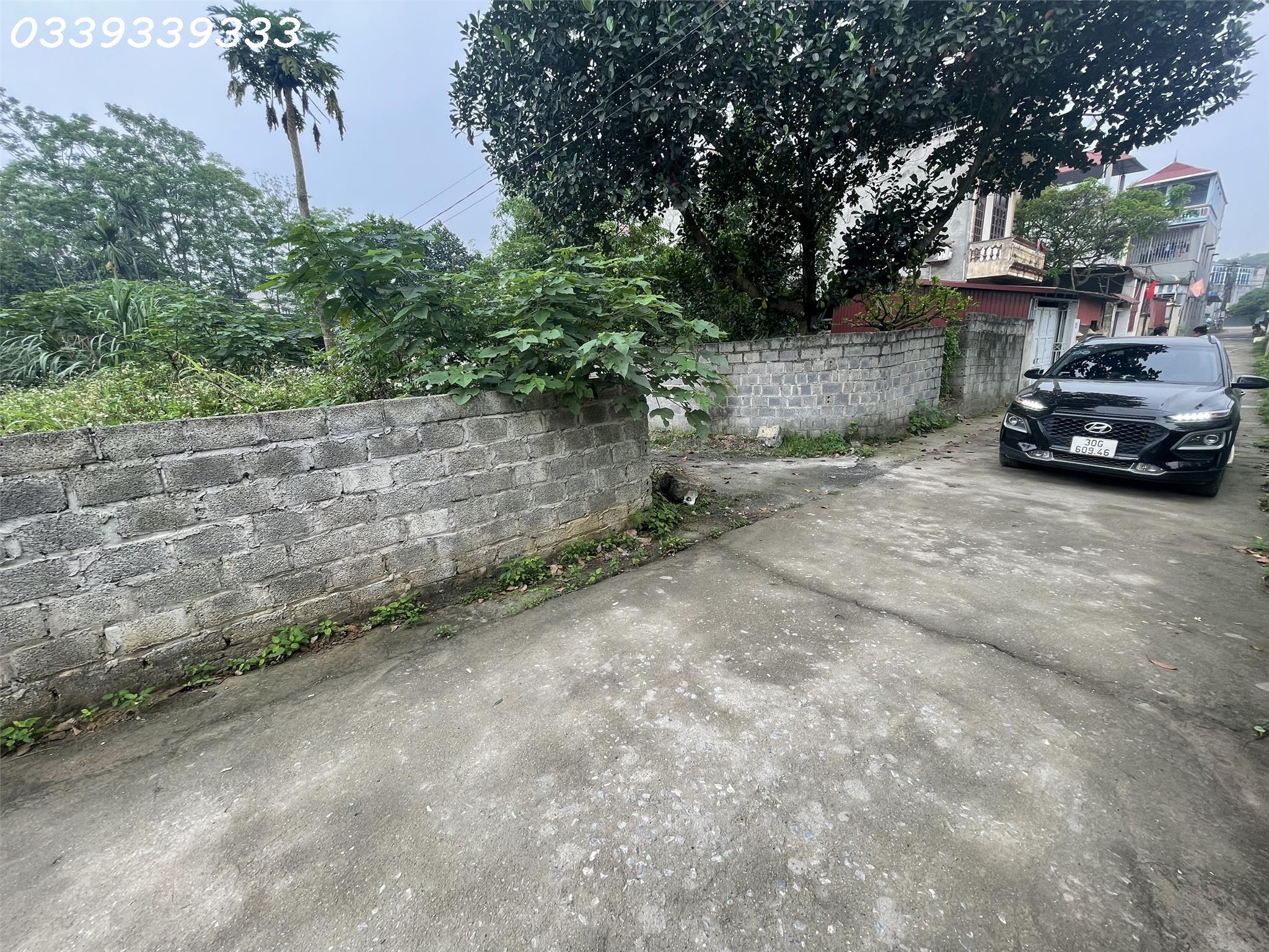 z5295080335911_48007fe4100fe490c8924ef109126c83