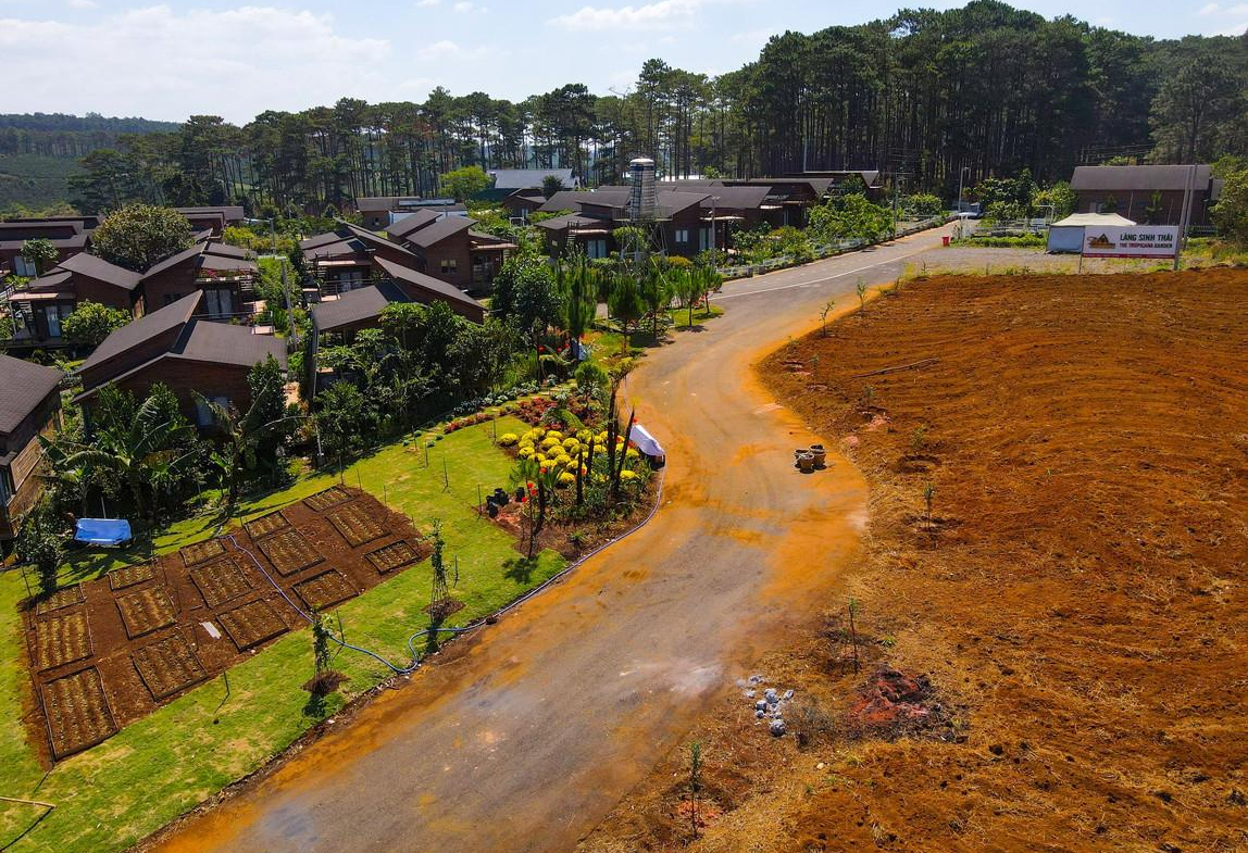 z5296659578676_dcc3368c61283e7dfbfe83b94d647364