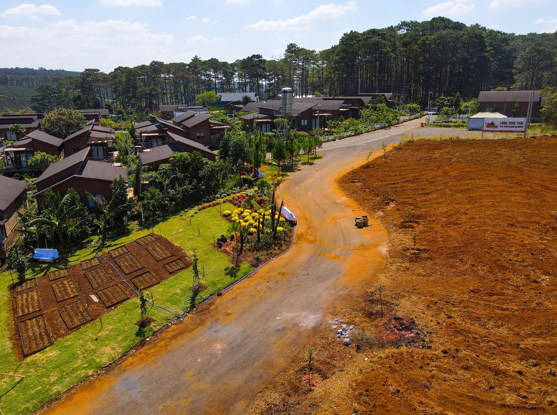 z5296659578676_dcc3368c61283e7dfbfe83b94d647364