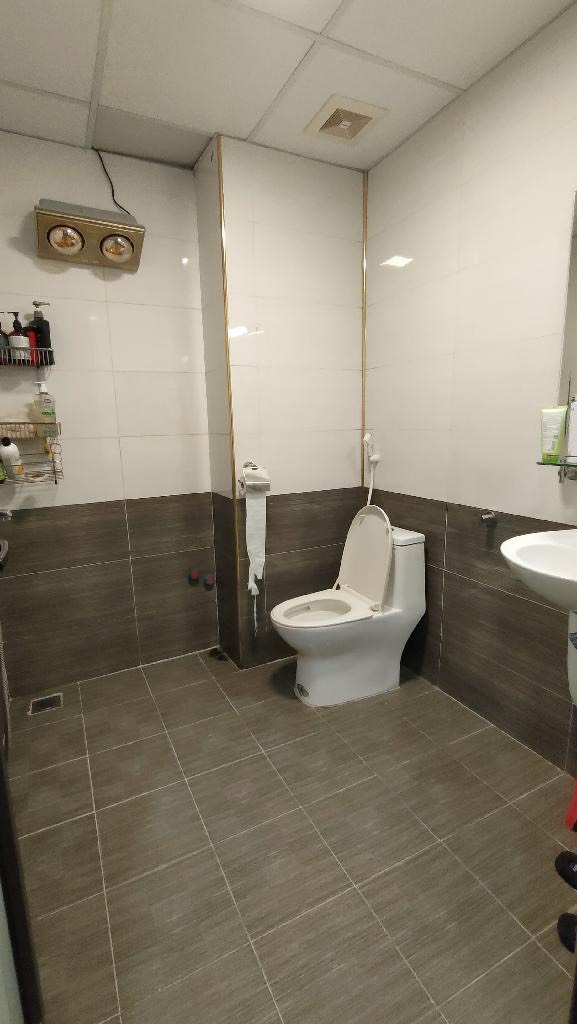 z5300703413332_db3784f44fdbe96d0b95cf76e3ed5cb4