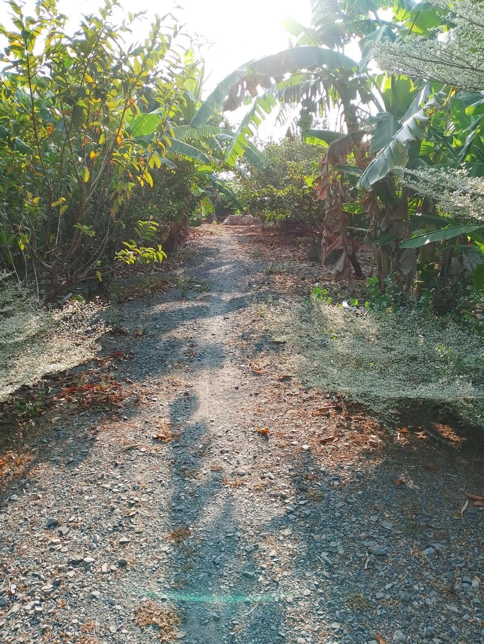 z5301974731118_1da031812114c69cfebf46907ef76435