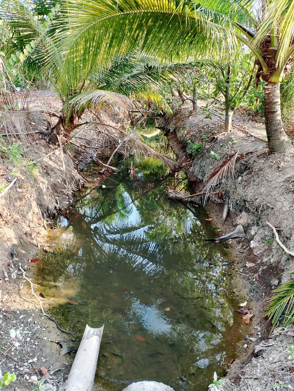 z5301974742757_ad4cb26d2ebed3ce162ae1202fb000b5