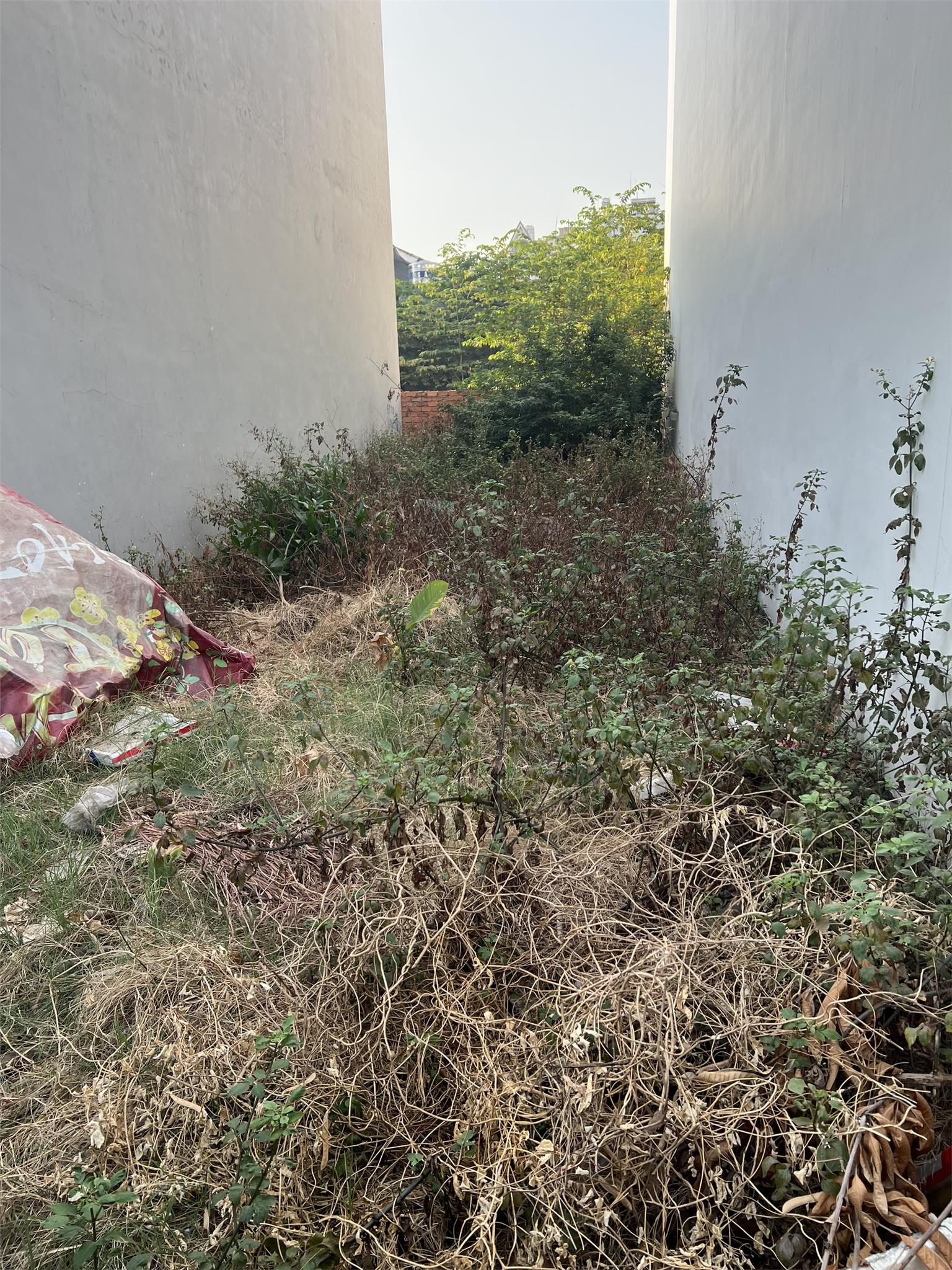 z5302031075753_e8513e0ba14c7adcd65aaee6236c1577