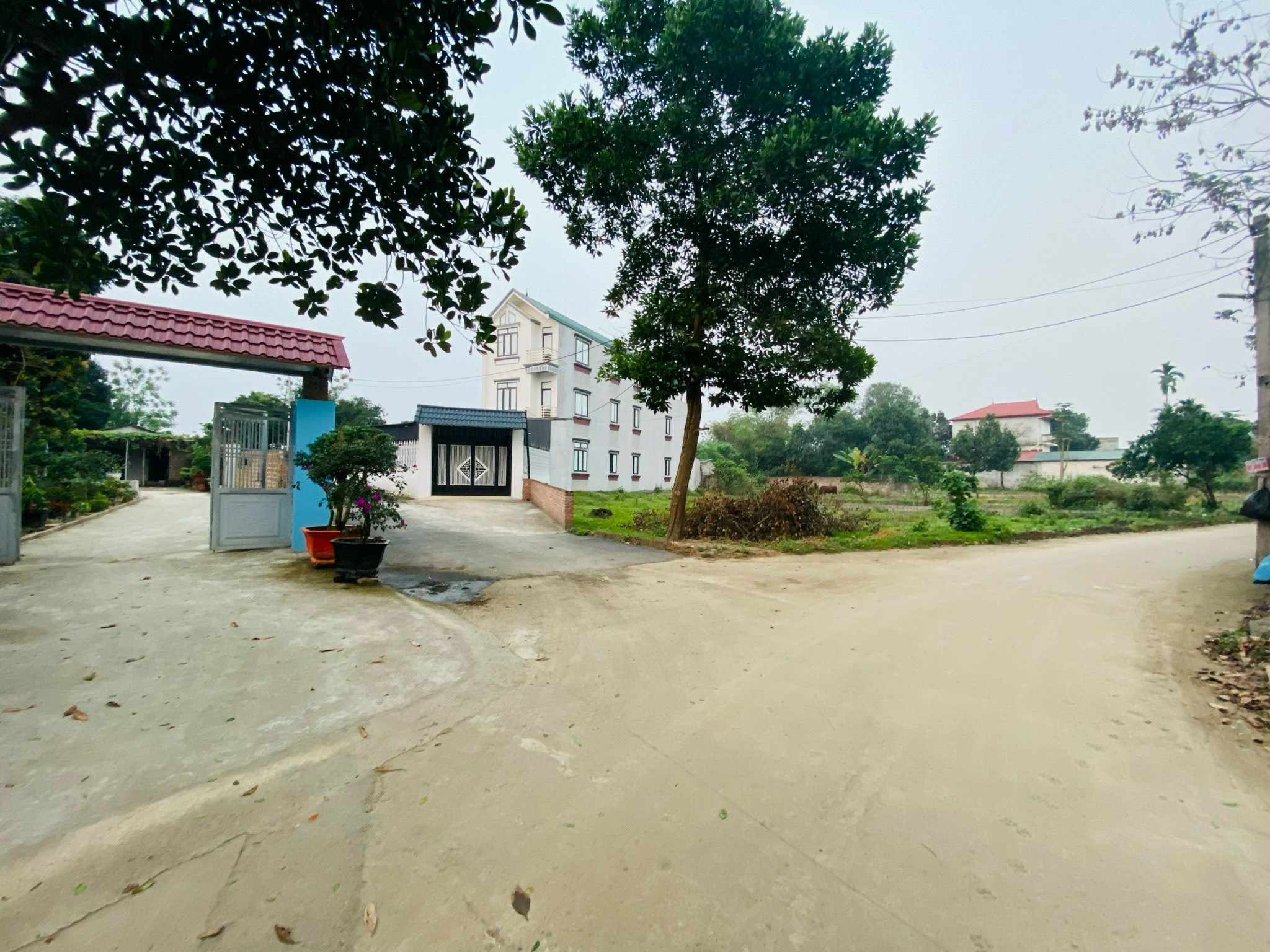 0858953a-24d4-4fa3-9a02-79cc138768e9