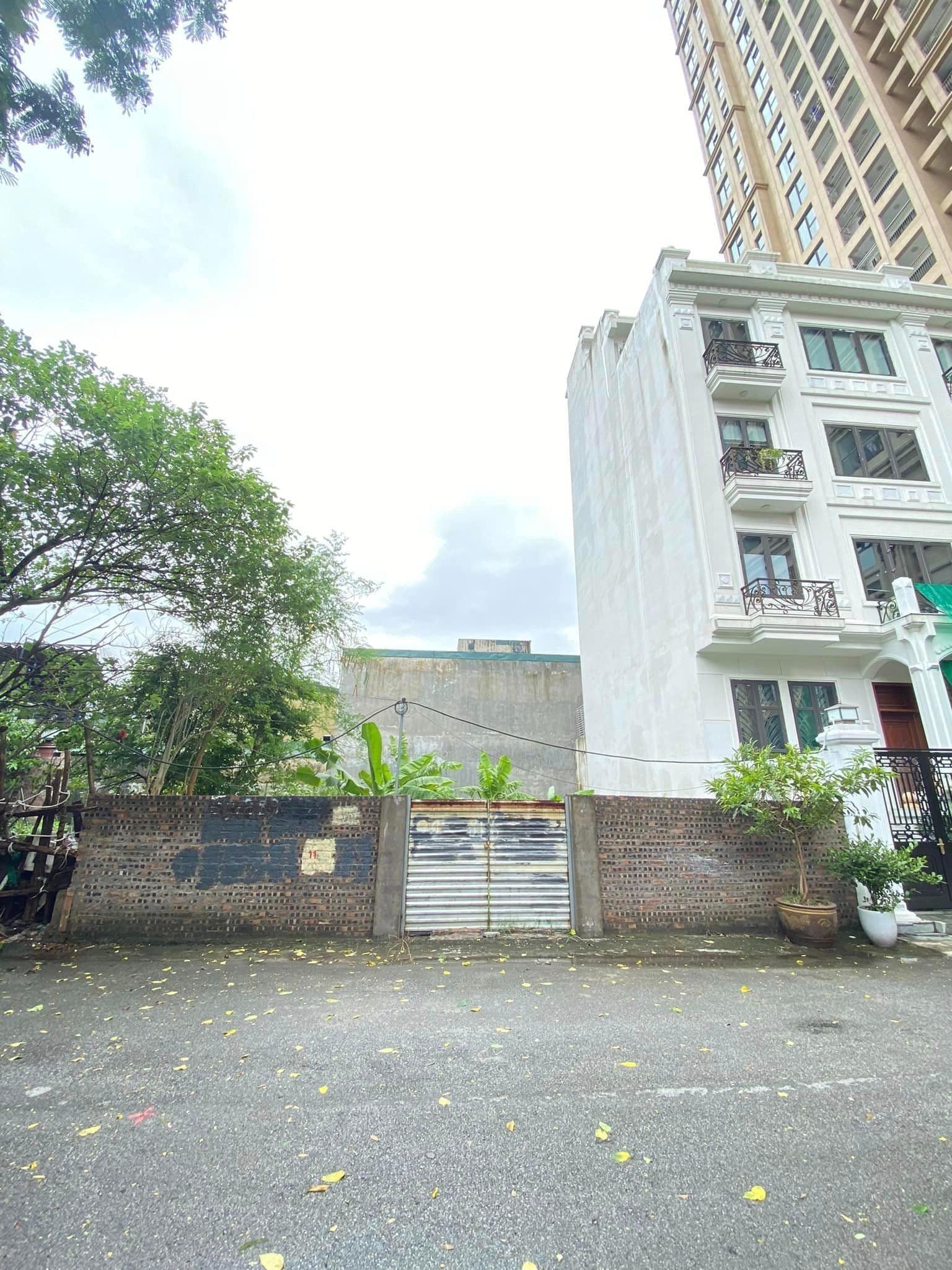 355335803_1615269442294868_7709651992792178405_n