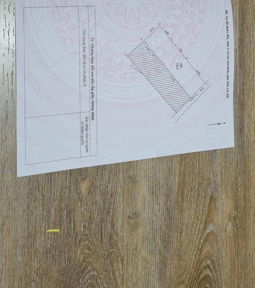 357399437_6466631033428204_9088912281988886473_n