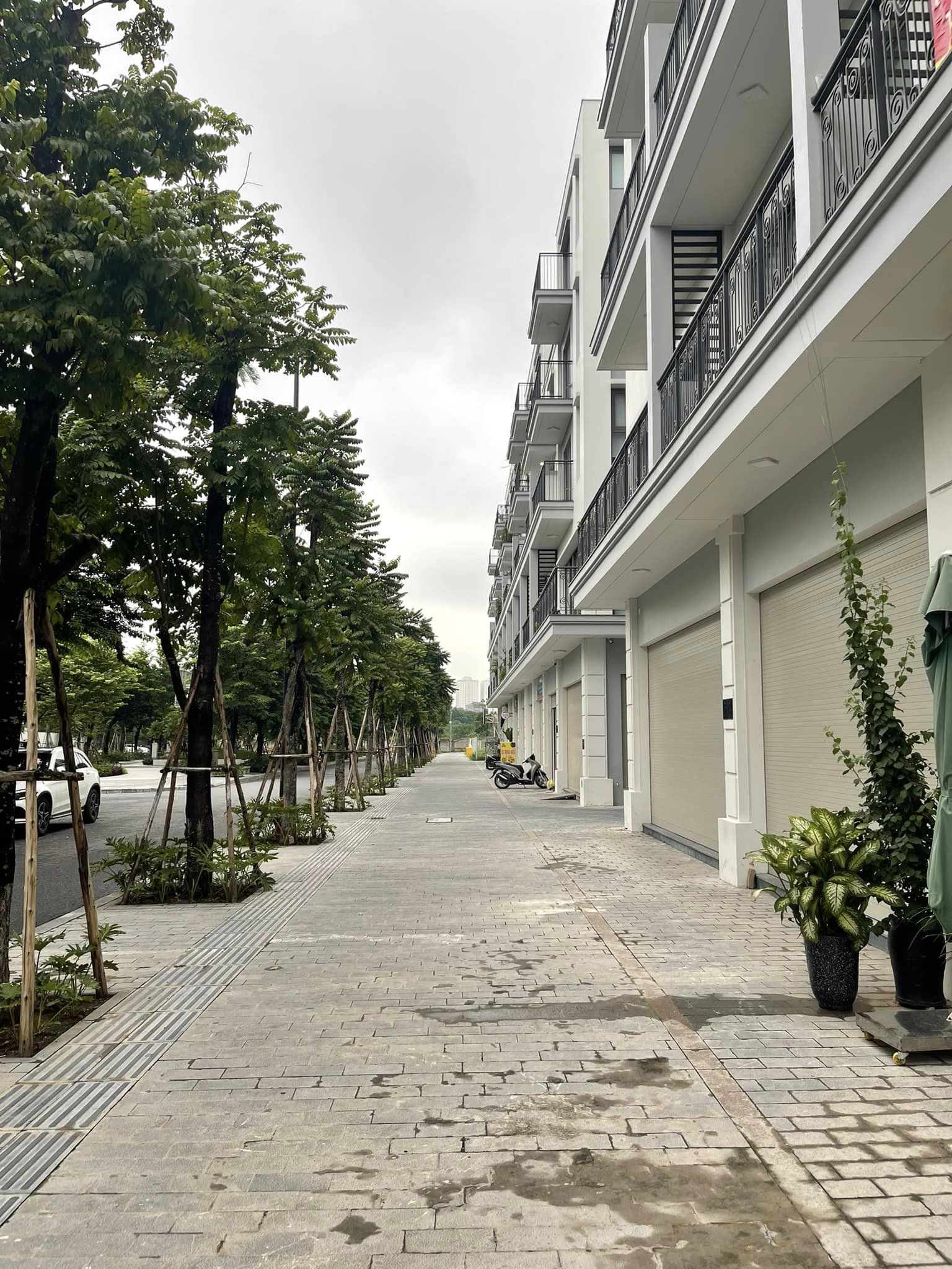 367973160_3661747634054526_2790868889216758221_n