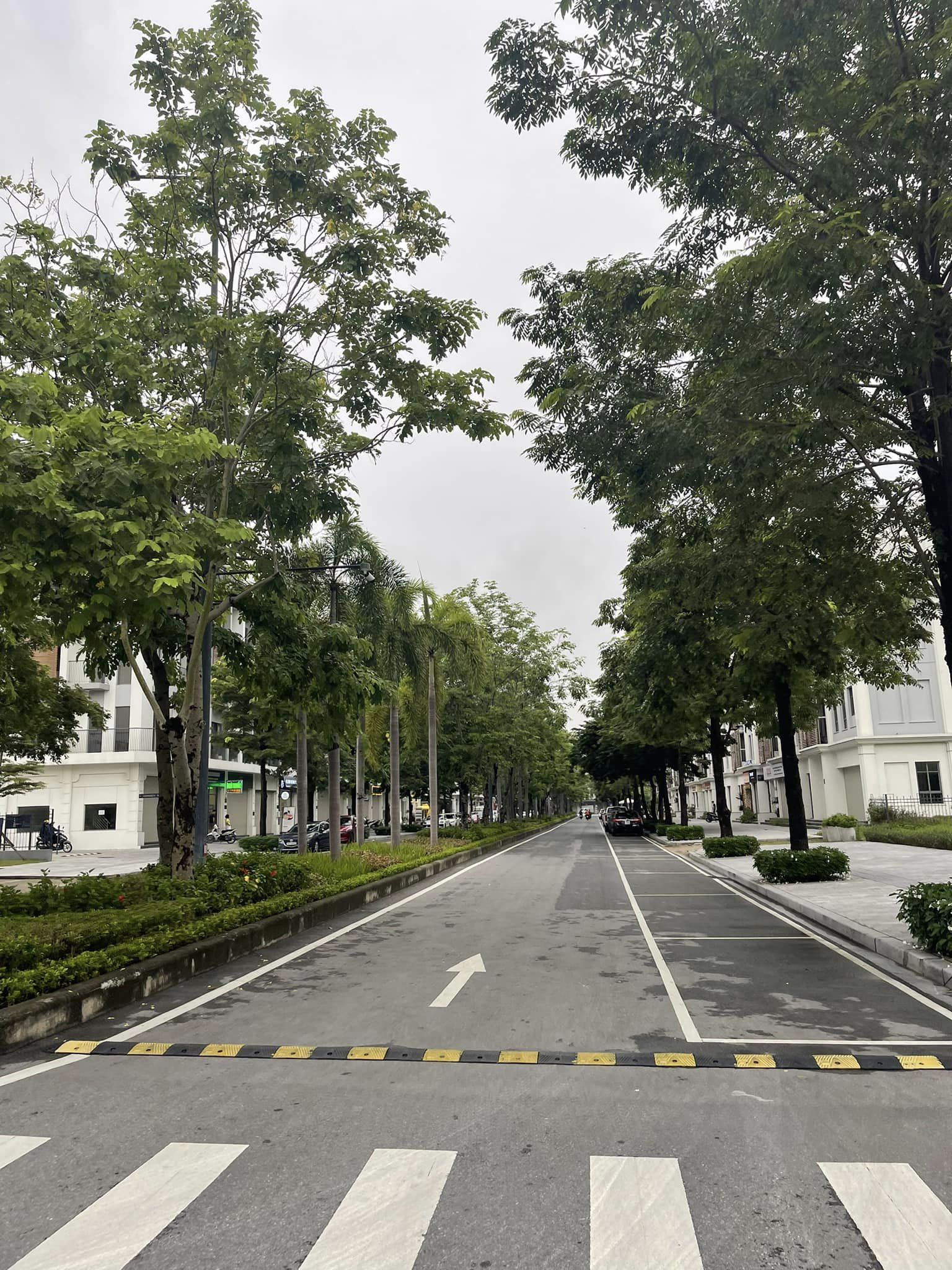 367982486_3661747707387852_869328222142823862_n