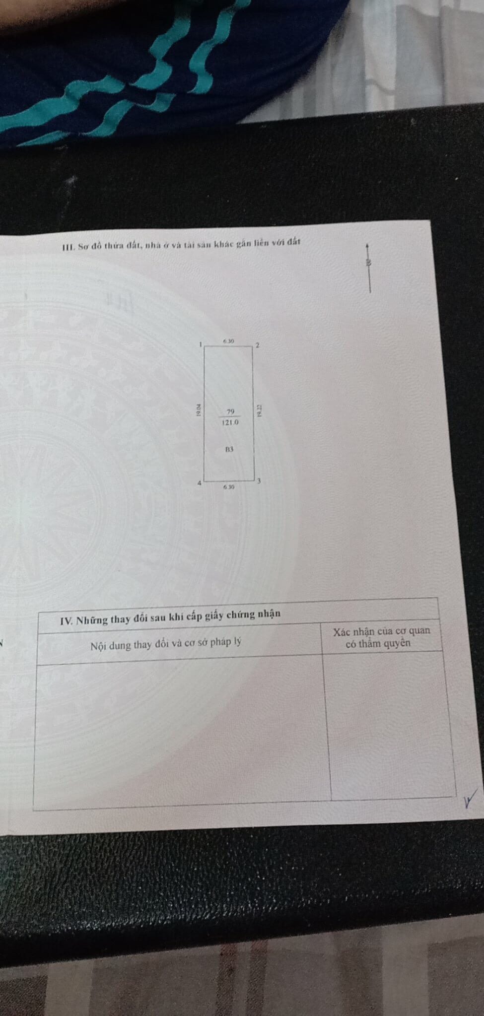 401446950_6596247280487613_8705478946619443525_n