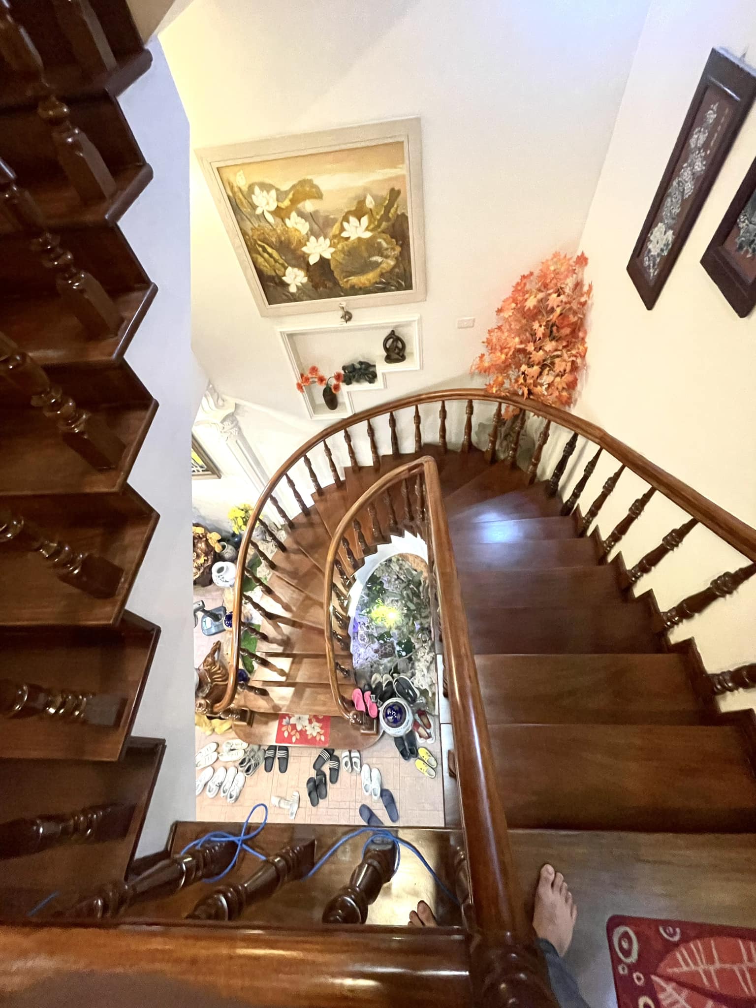 401573361_6796311807154958_2880434828974799390_n