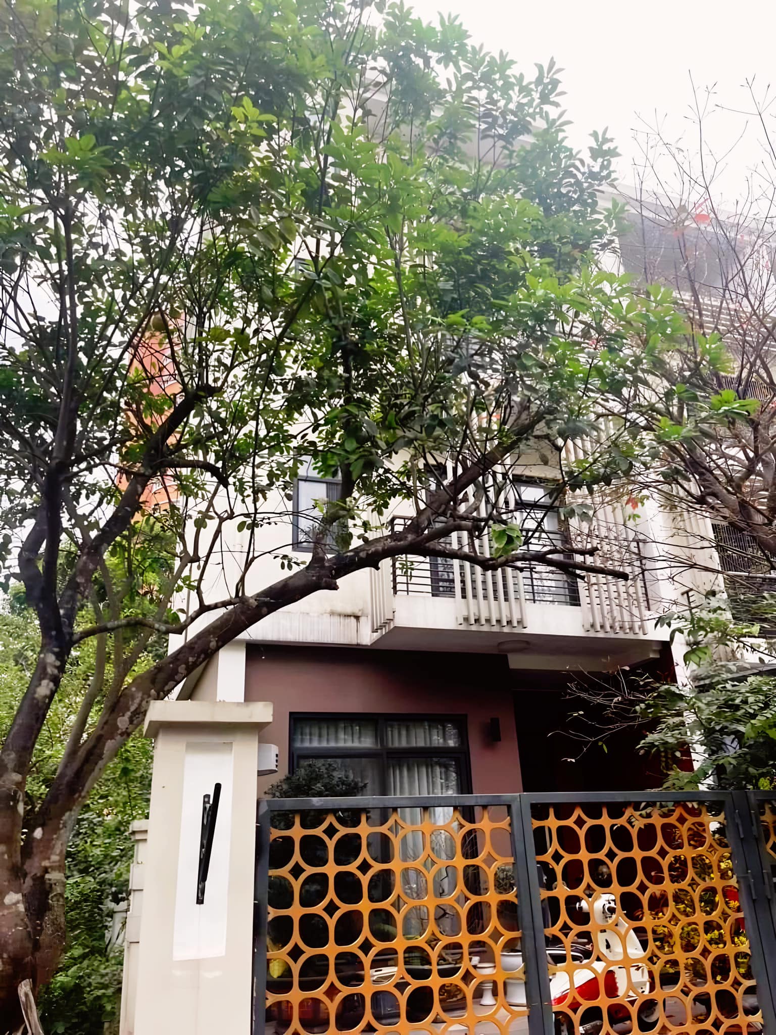 431872991_918611666793244_1453921617684045497_n