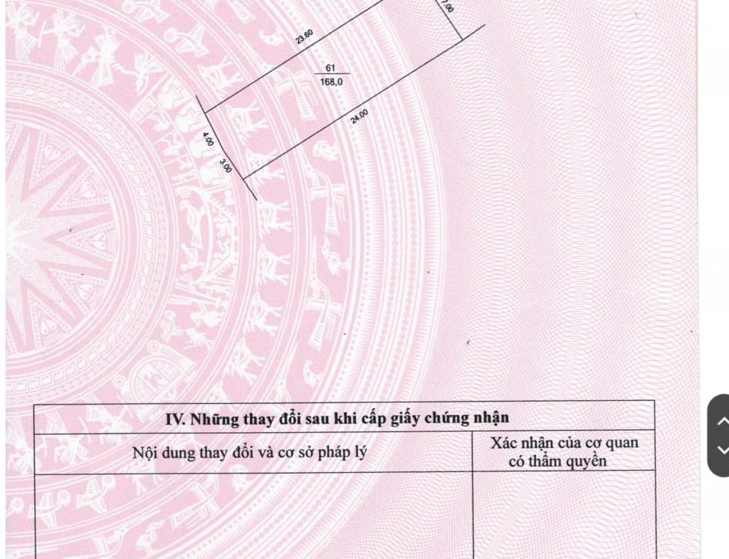 434179614_10225457760661669_2282236526058551396_n