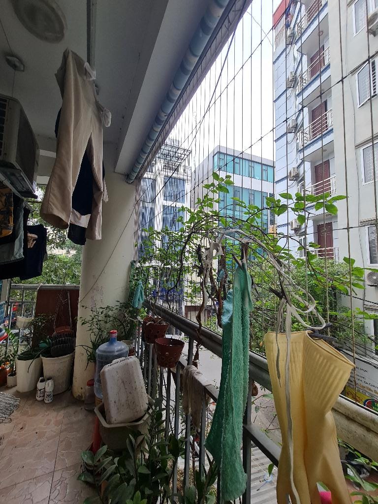 434939230_1196802408363005_8287864846449392352_n