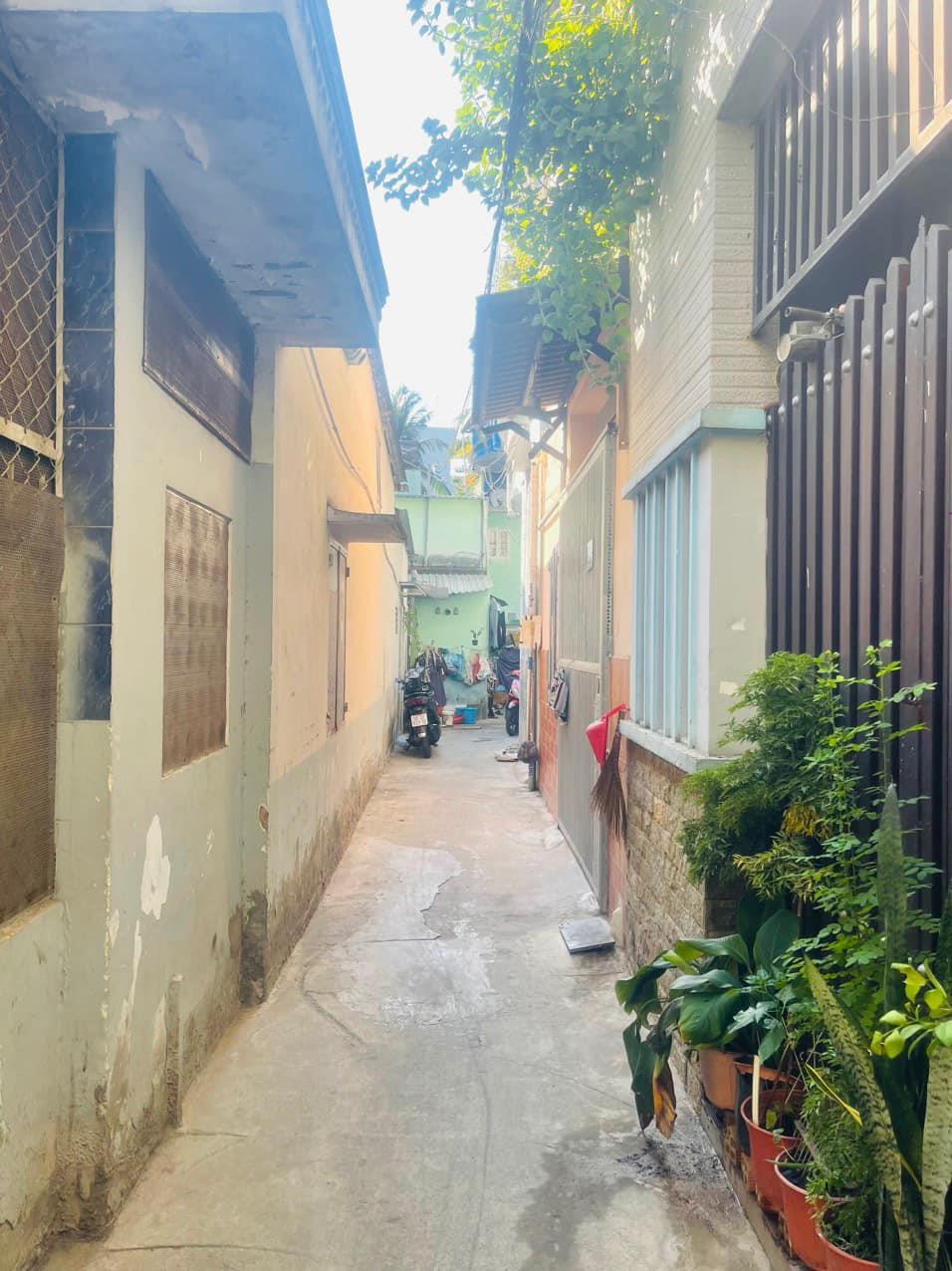 437953684_424972750222153_7508661146213748461_n