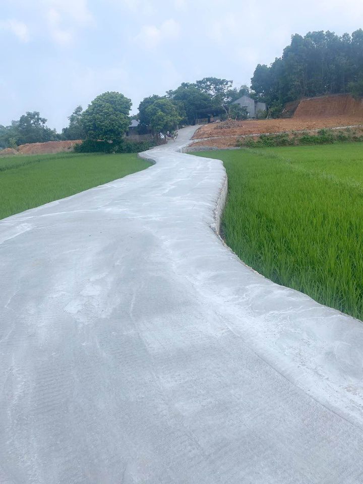 439841918_122139590690130966_6017758371618514427_n