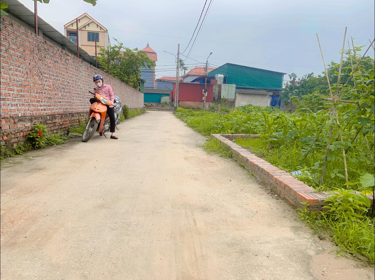 440064236_2733264756822198_3089399569163548391_n