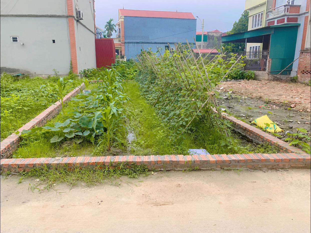 440173483_2733264646822209_2859190322942161545_n