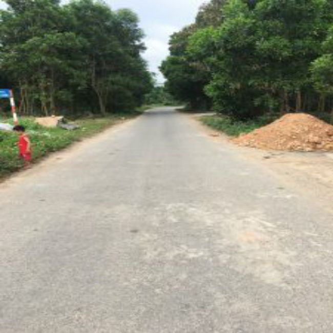 49ccdb70cbb1f4e7440ae161b946f708-225×300