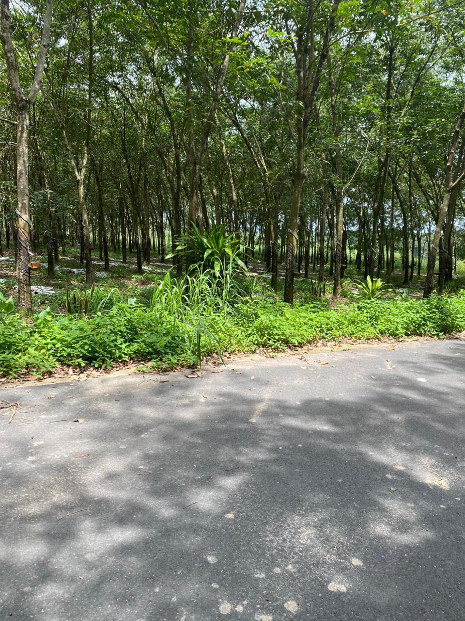 543593277f7ed120886f