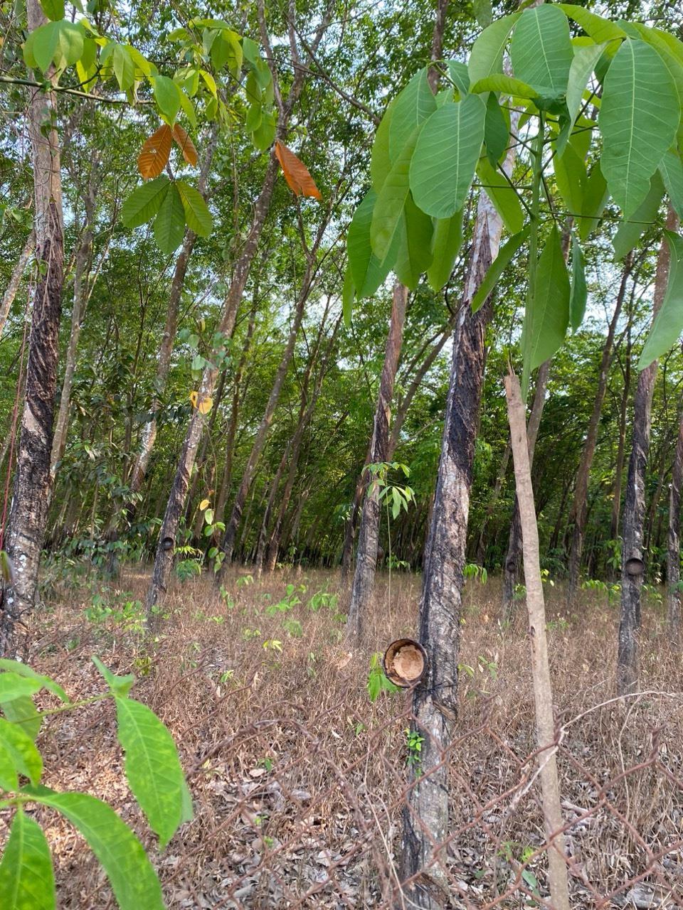 8afde9ed05b4abeaf2a5