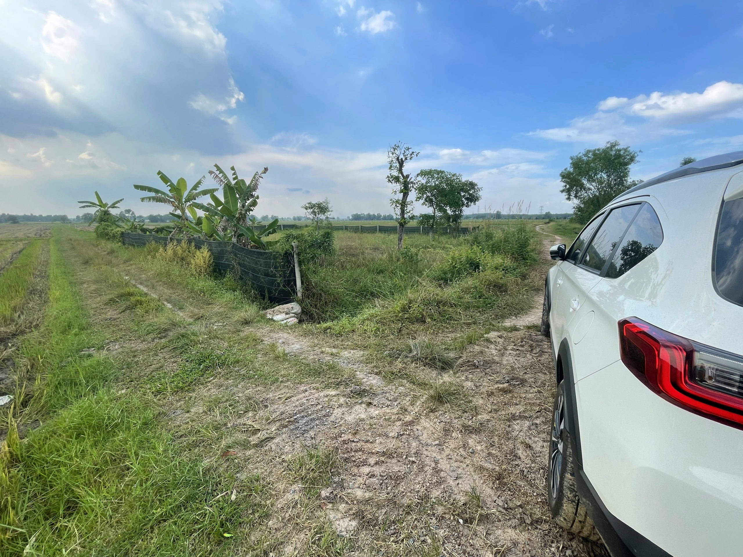 IMG_1703044848443_1703044906948