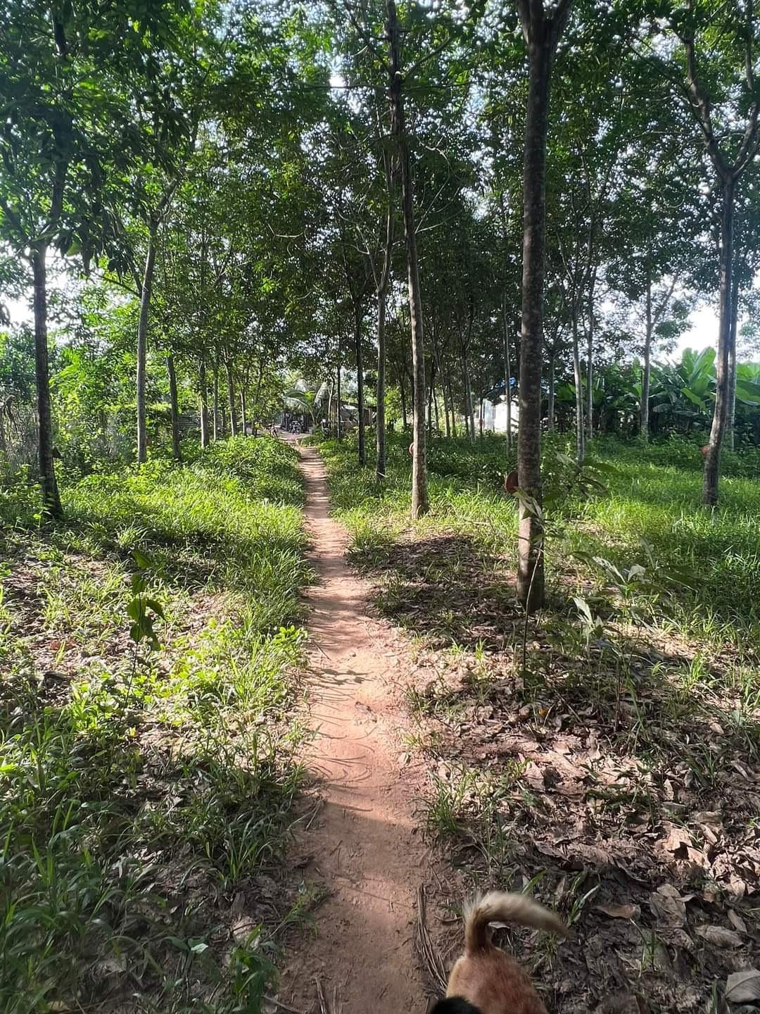 ab4e6b5d8704295a7015