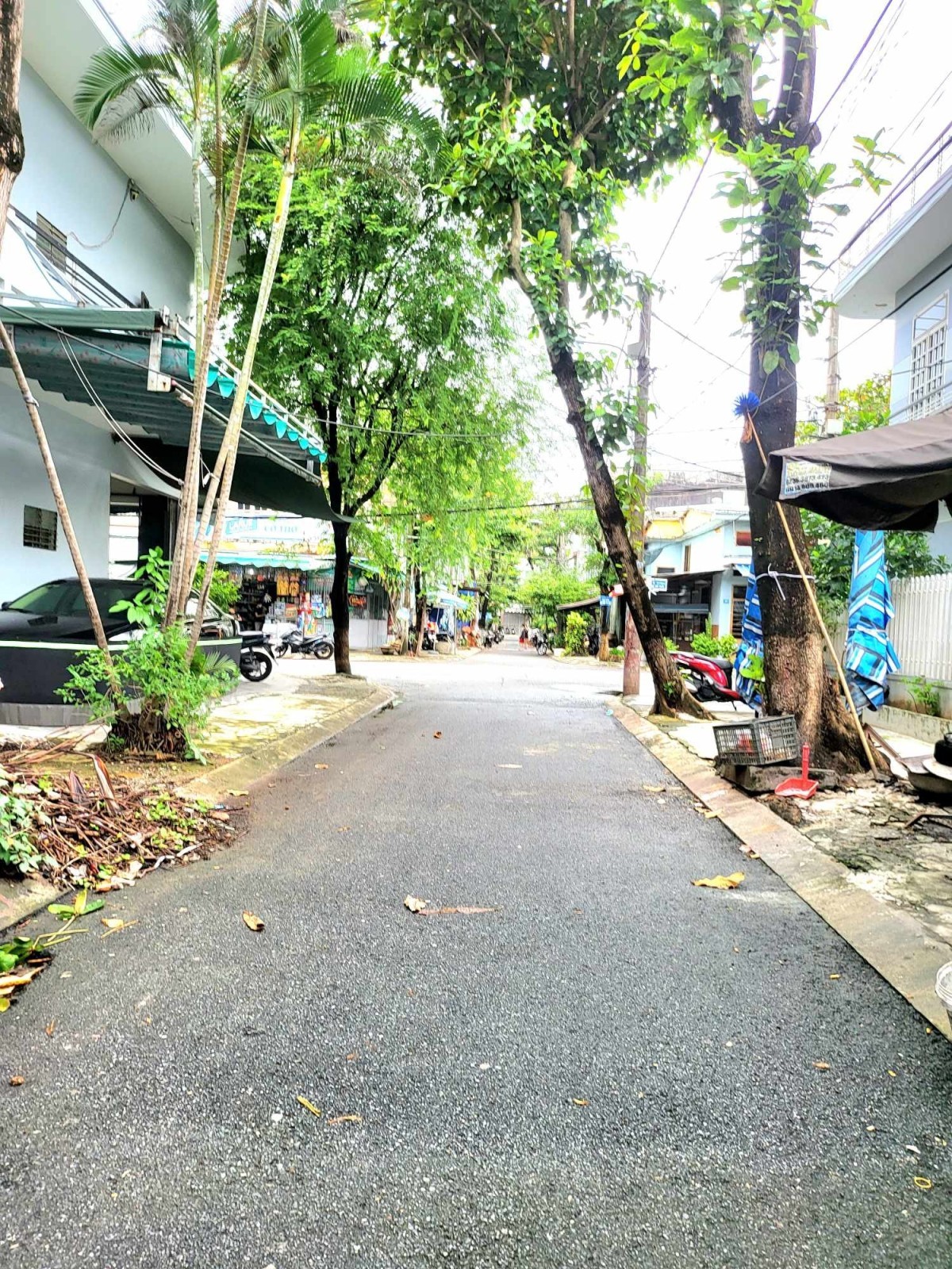 ee2ecc08a5019e80a6877957b5619325