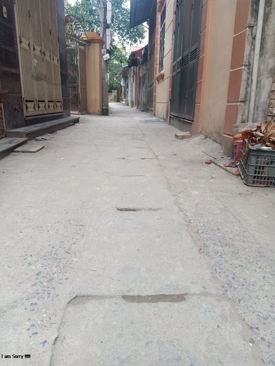 z4174895923349_63b56241e878e2f33abef69180d5a18d