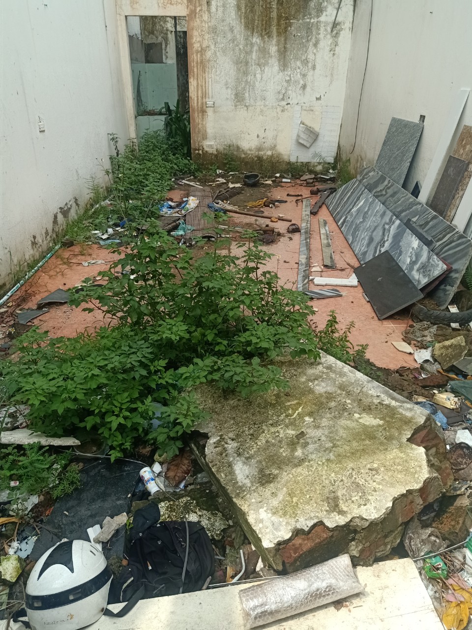 z4607209132073_0baa92e6ca60024025df512c87042b3a