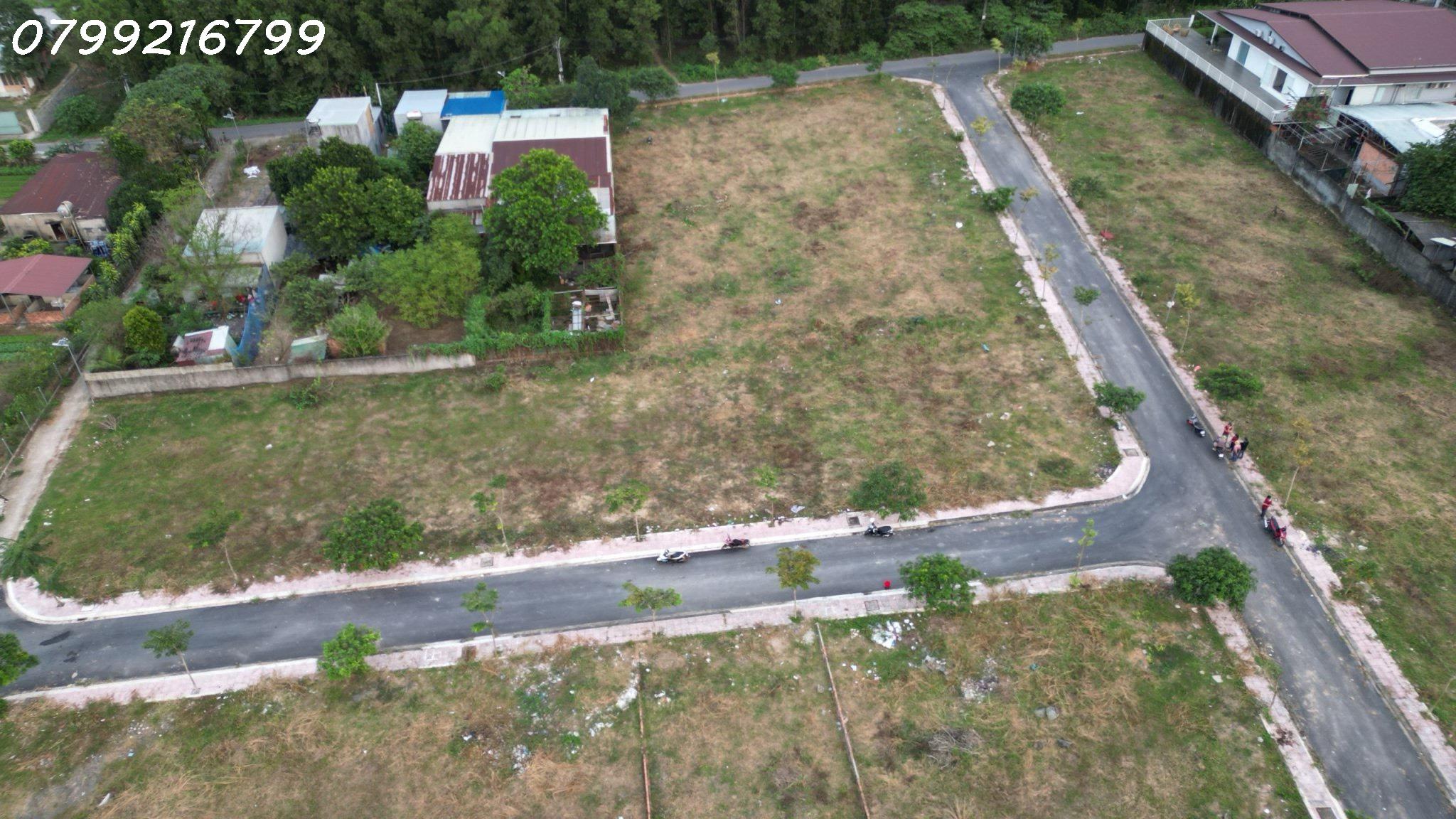 z4944384200628_c8c3938122ebe4ff5191e1b270db0520