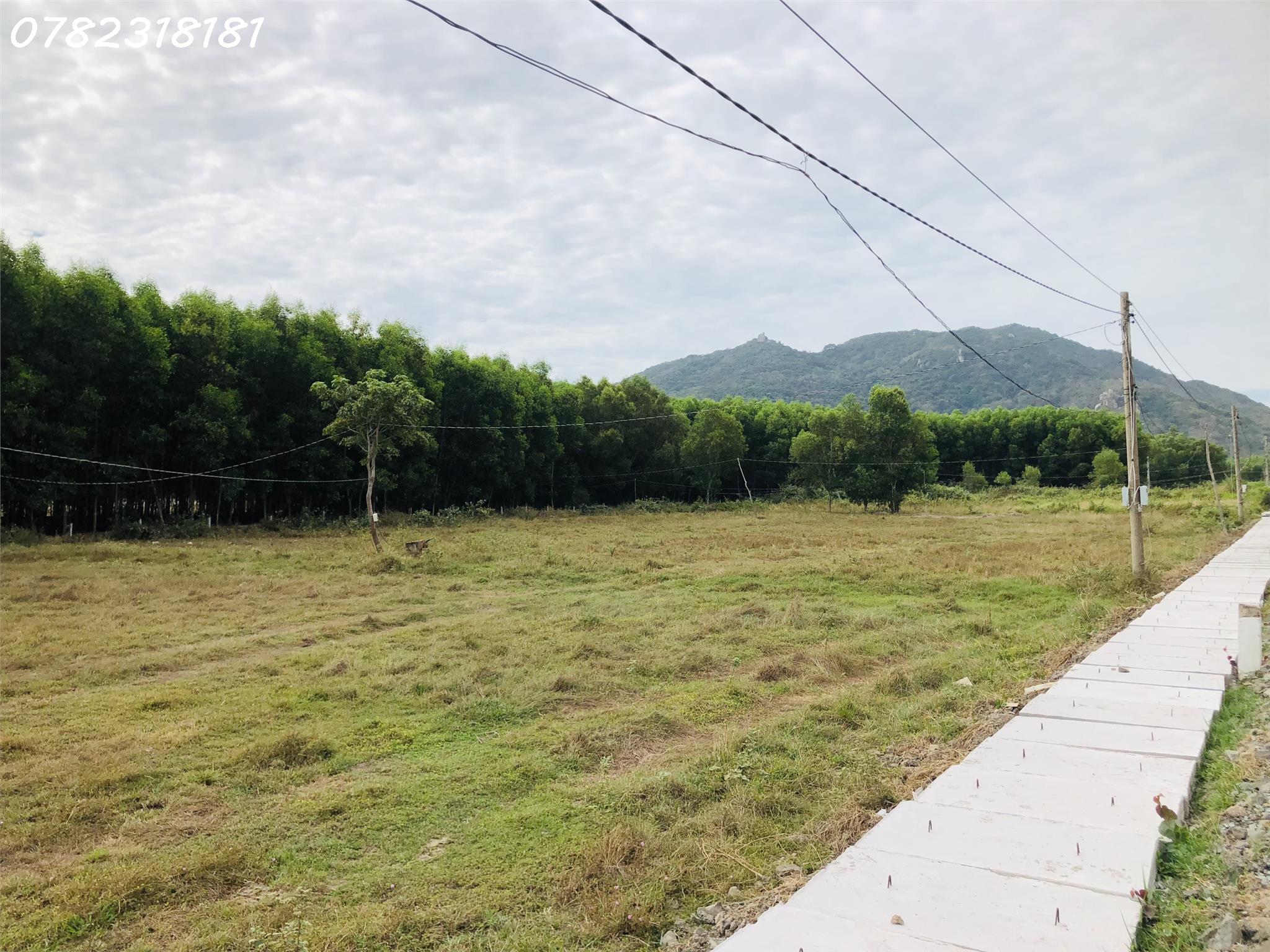 z5018904462999_21eb2f7a9a5d820759d45e1cddf3c032