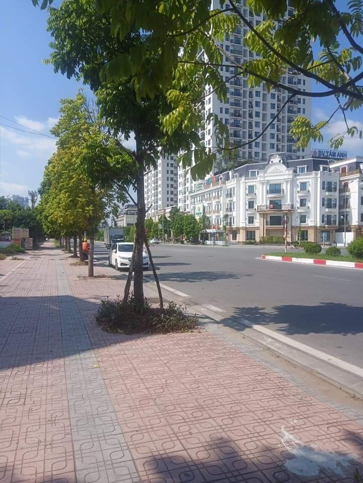 z5209985697659_0315fcecd474a5d570bdf3d11d869dfc