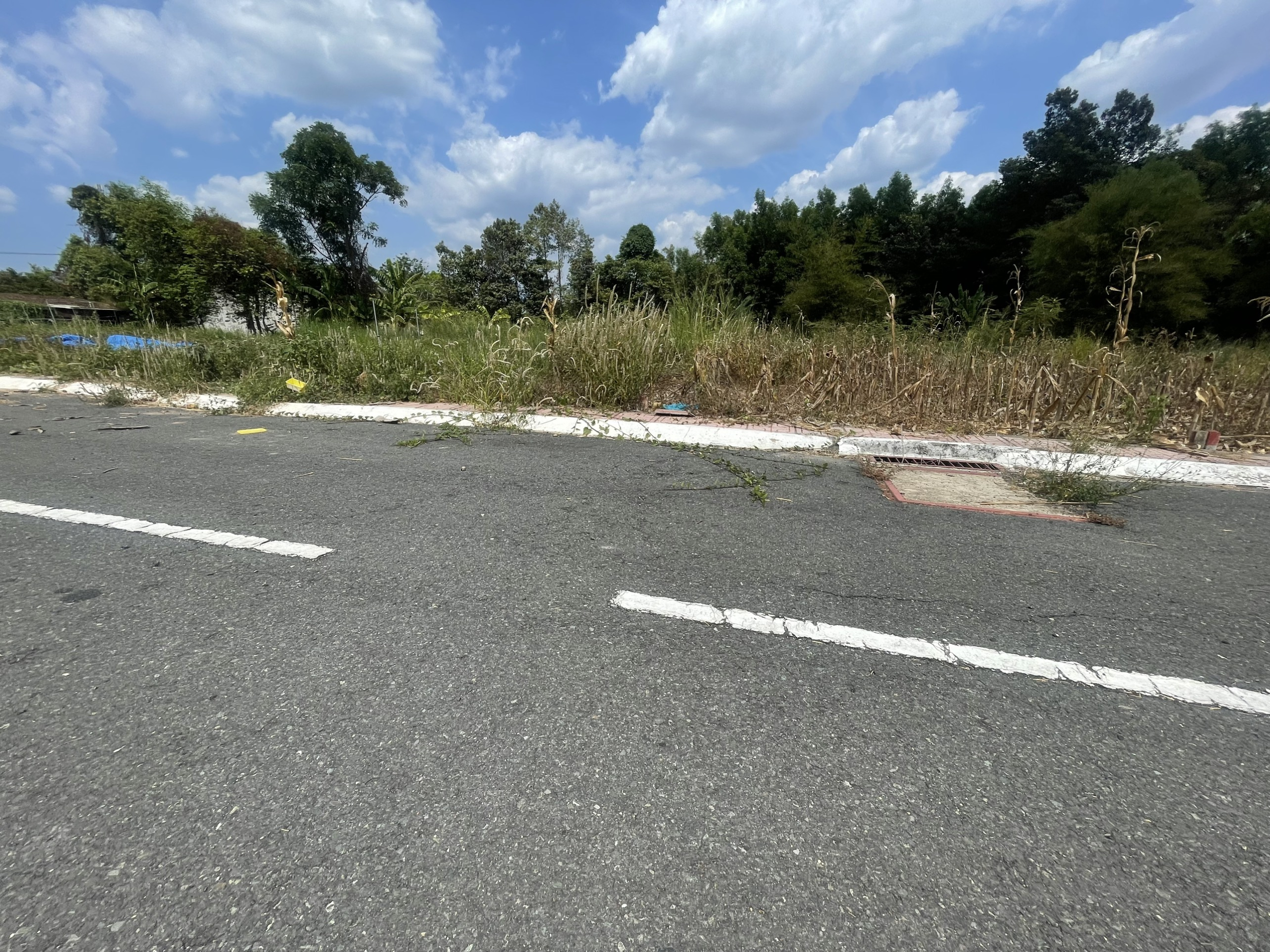 z5241570283238_7997cbb46d851402515e5d9ebef6d5c4.jpg_bak_638458894147529922