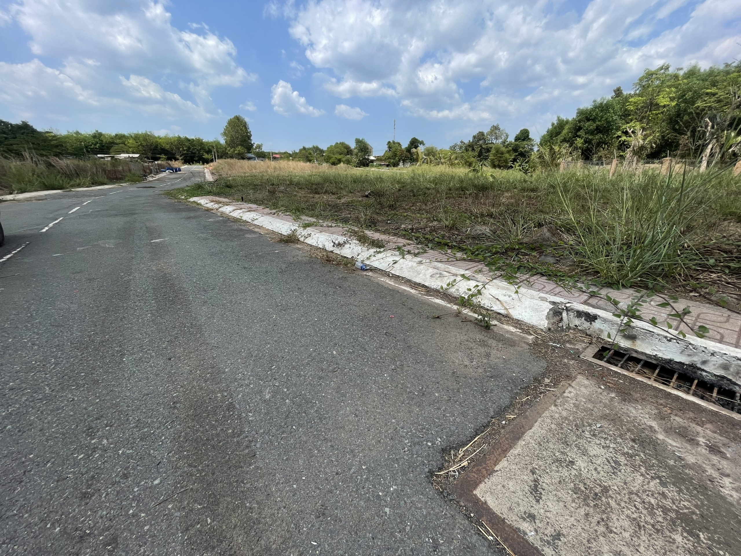 z5241570454291_0ea4e2be17b3d2990910ebc102e59b6e