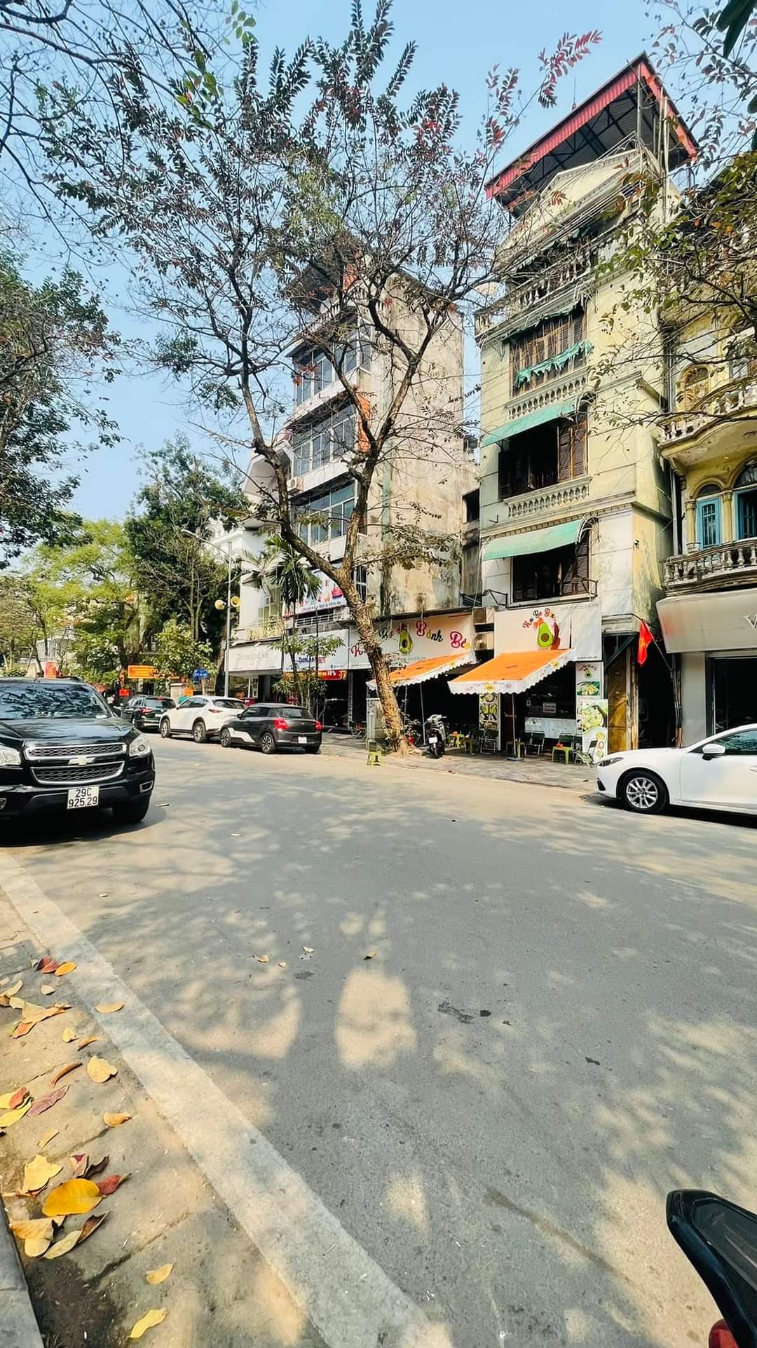 z5255629057072_530498227538e4a835e821d6a643a82e