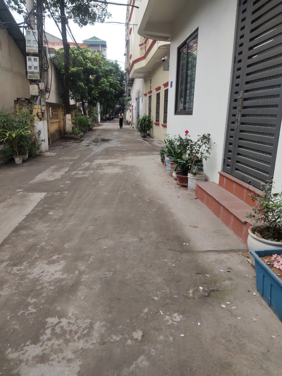 z5258518755554_8c712ab73cfeffa76dec6e0dae0570c3