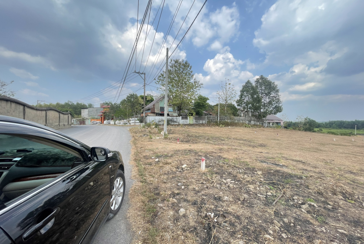 z5259881373415_af12f01fb0932c8fd74b59db719566d4