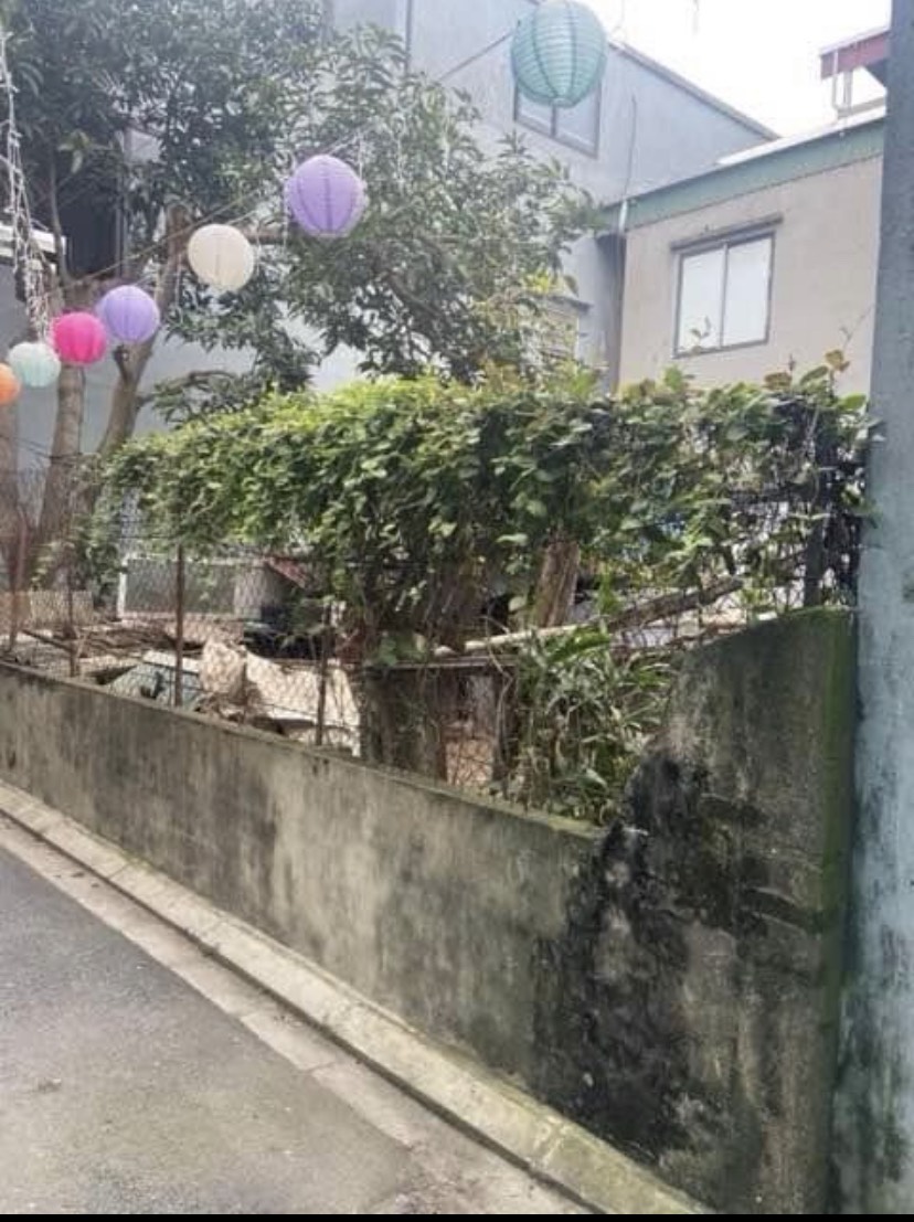 z5294346250221_baf791304d1f8222c2154c40cd414b21