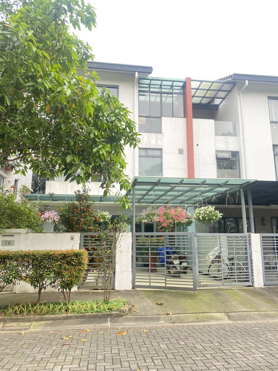 z5294626794163_da6aa821d59a15e2f68e0f966c353496