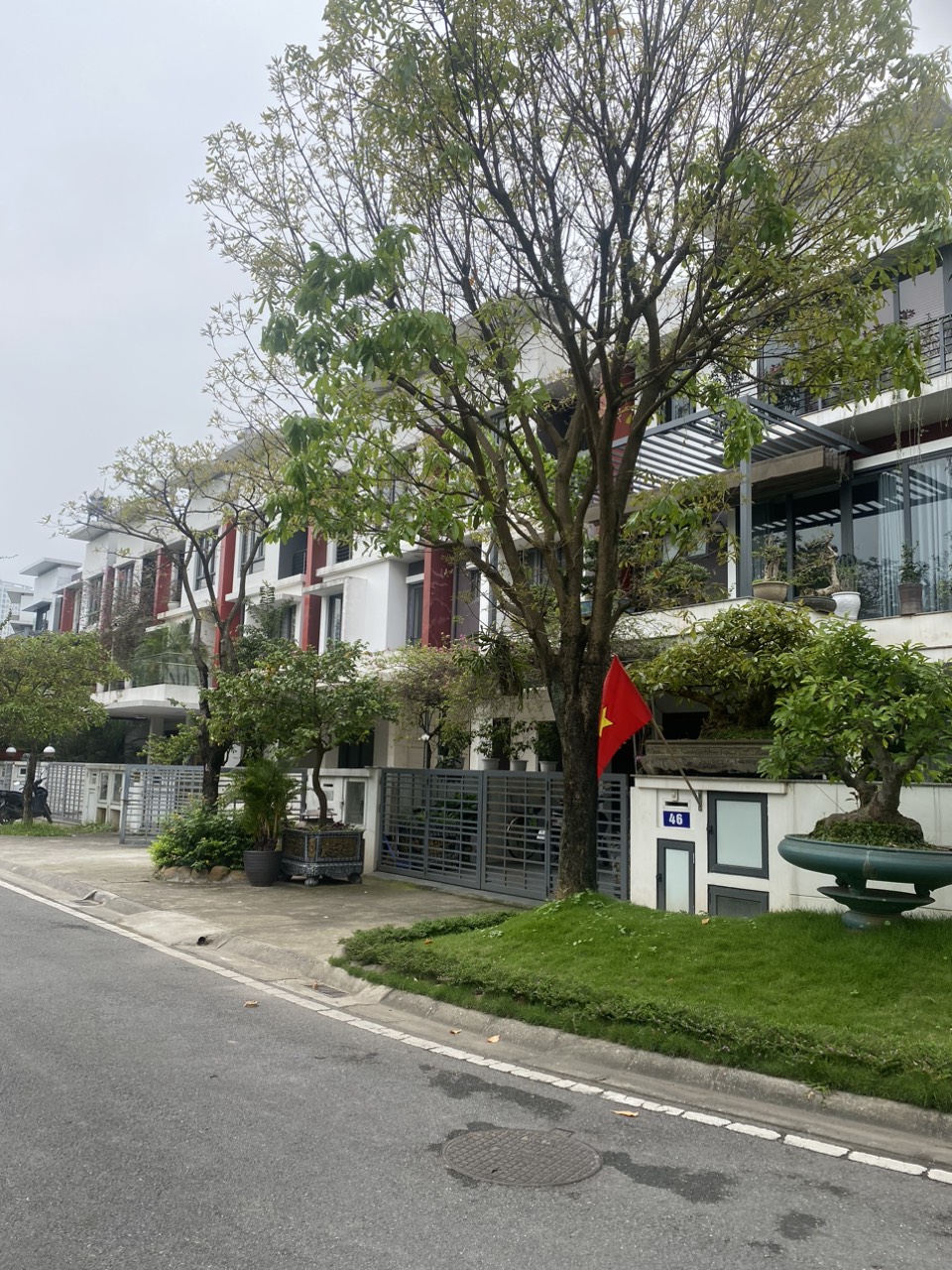 z5294626795479_bf326a62039b3022d1a32de55af2d402