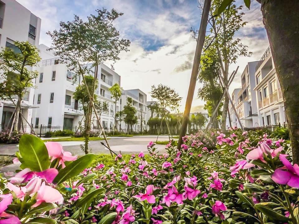 z5302430163545_06cda1fe6d81573e62cb94446eaaaf6b