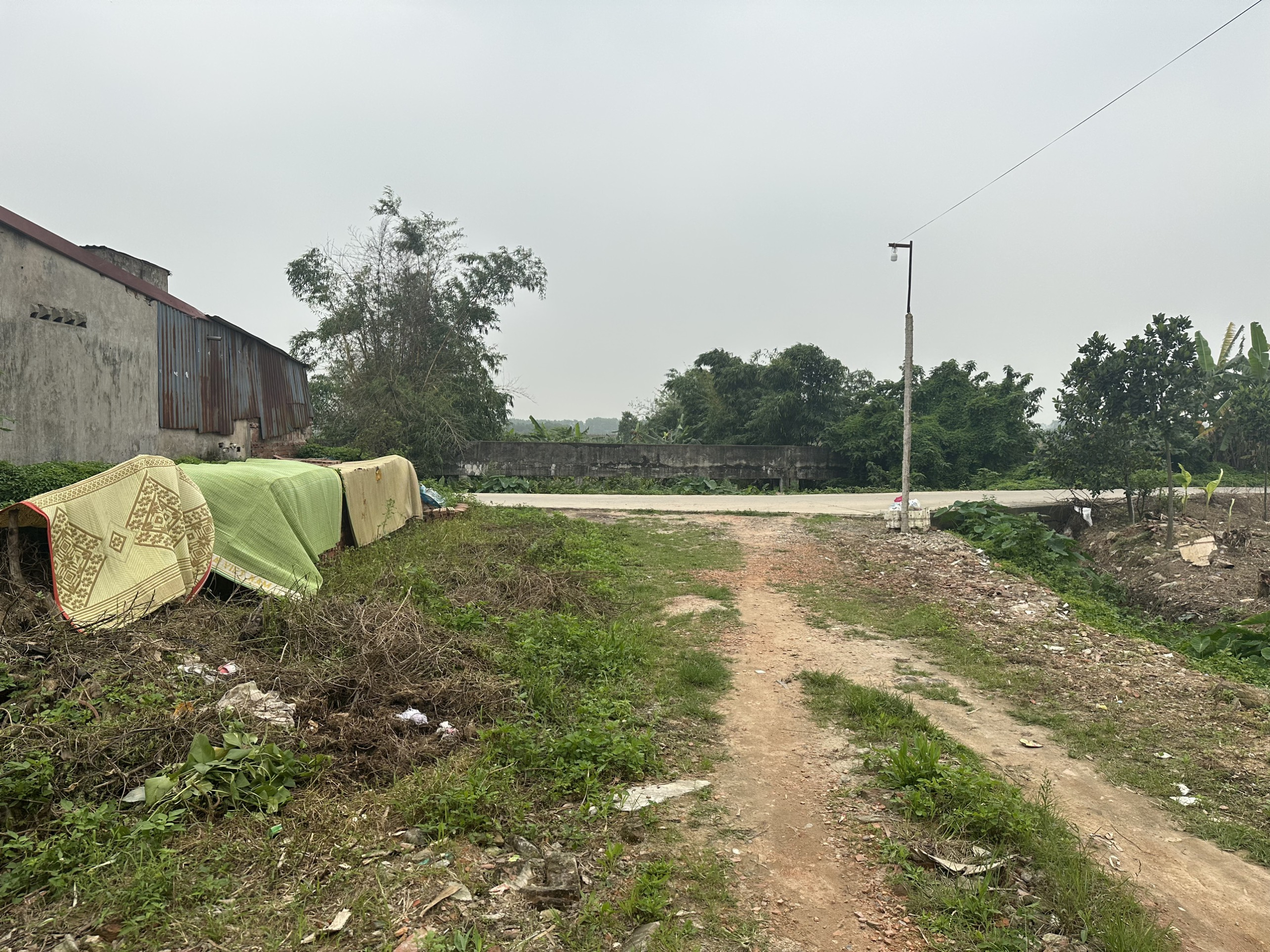 z5304340351016_1706b7f168361986054b13d4ccec563c