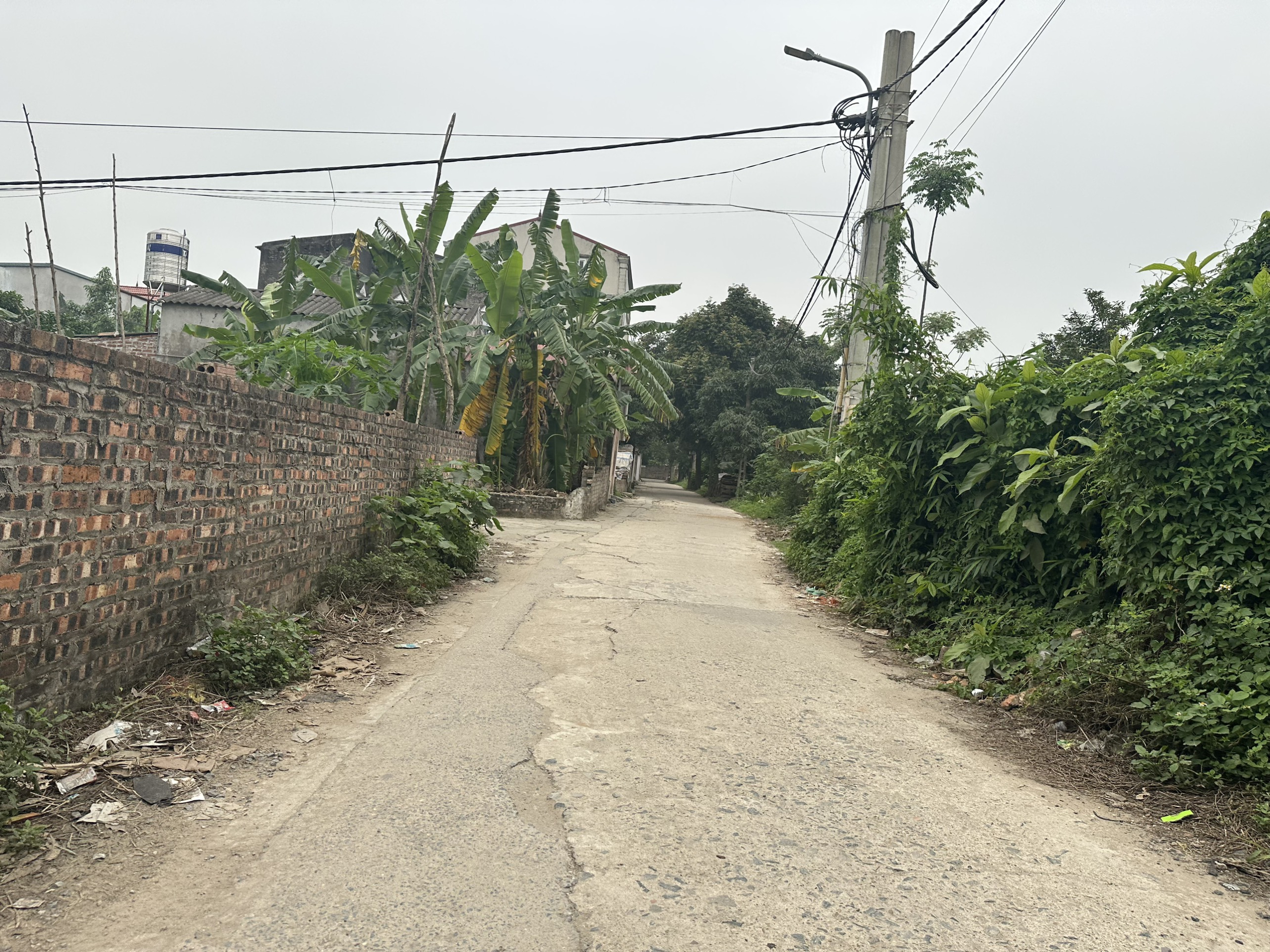 z5304340354171_da4cb329c771fe23800ac7d296f4af81