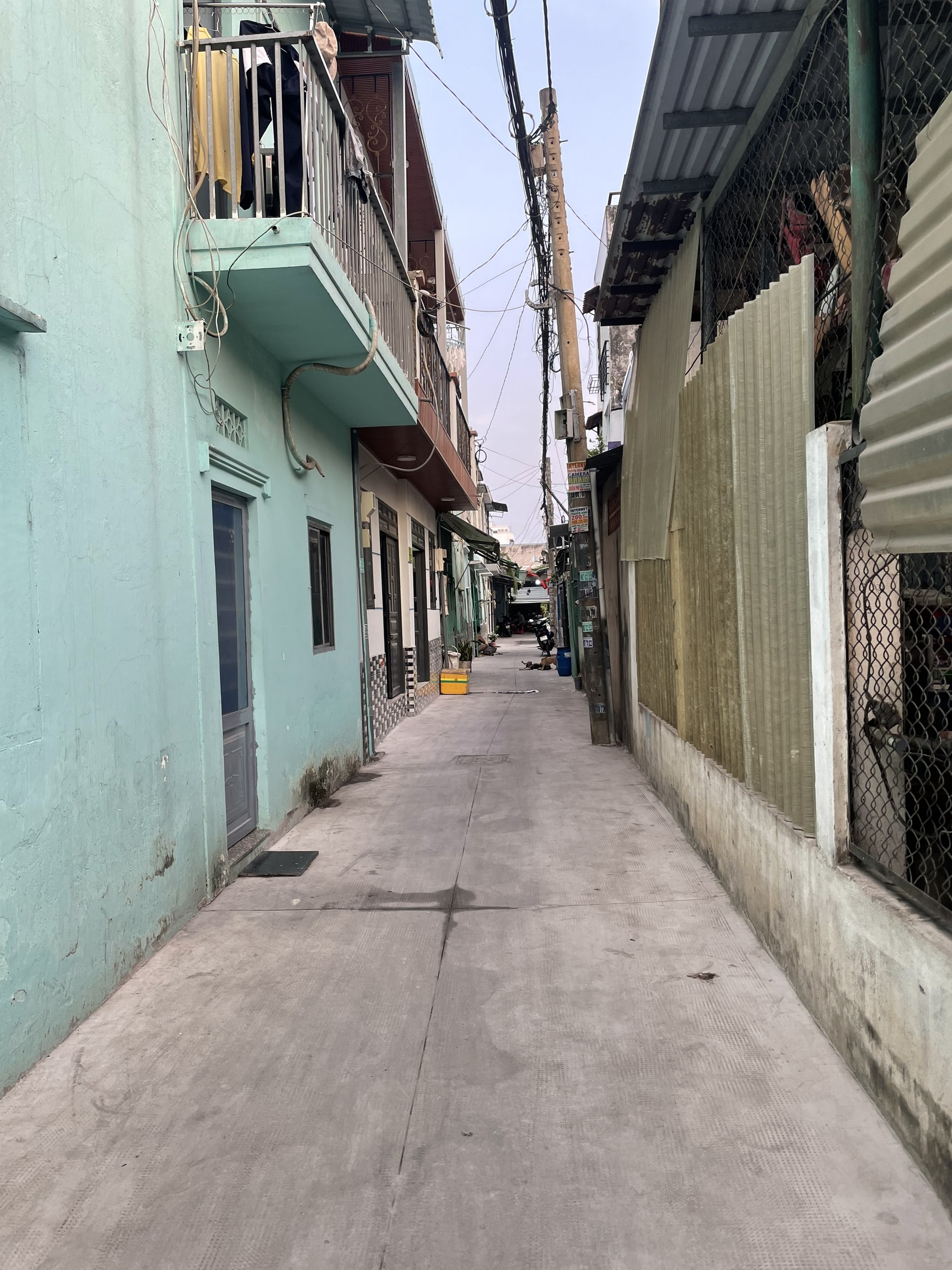 z5311190538384_d0f9d0c5ce8dd5ab7997b87fafb4db14