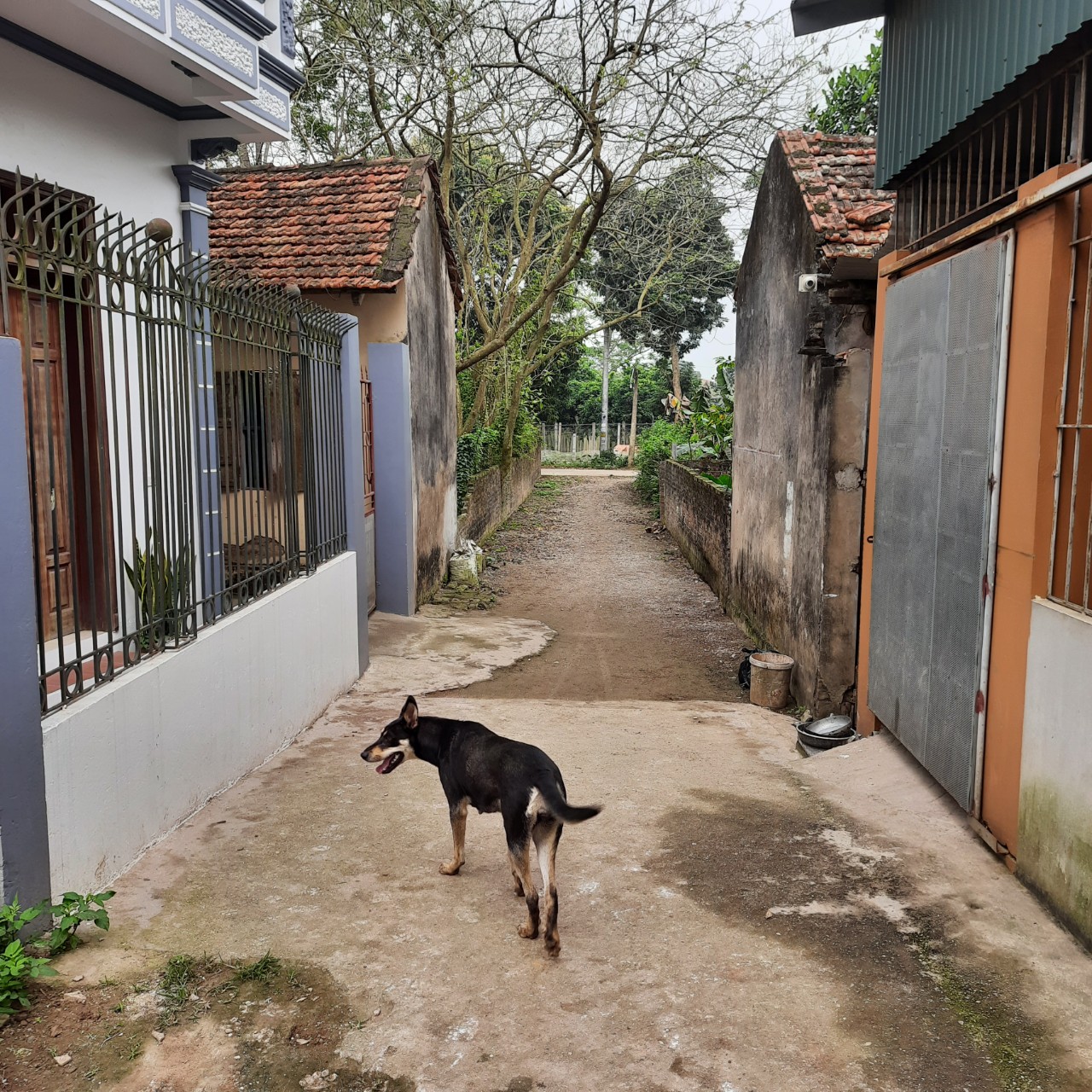 z5311823032223_146f0b9b55c5077b161791fee12e6f9a