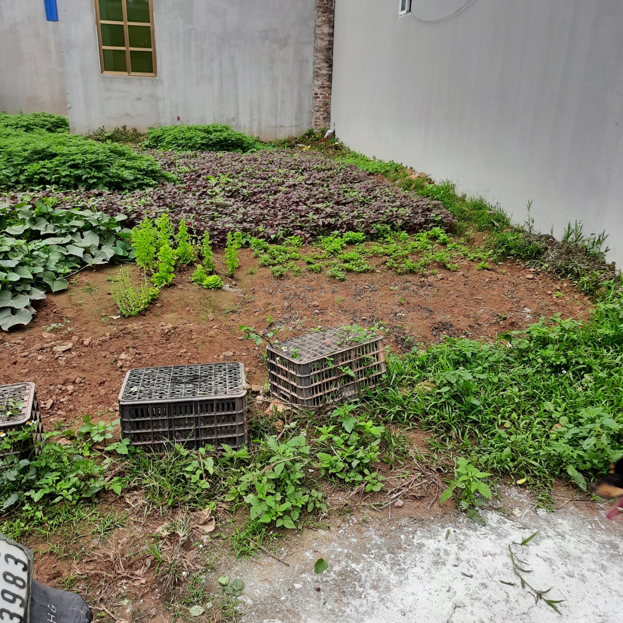 z5311823032238_fd37436be10acbc7621104aaef1dc78a