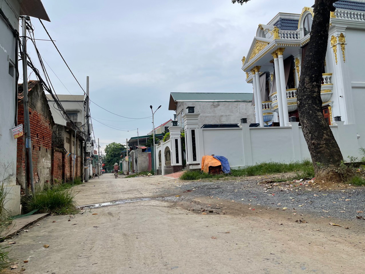 z5311828453875_b354343df179259664e9a86b0033bff1