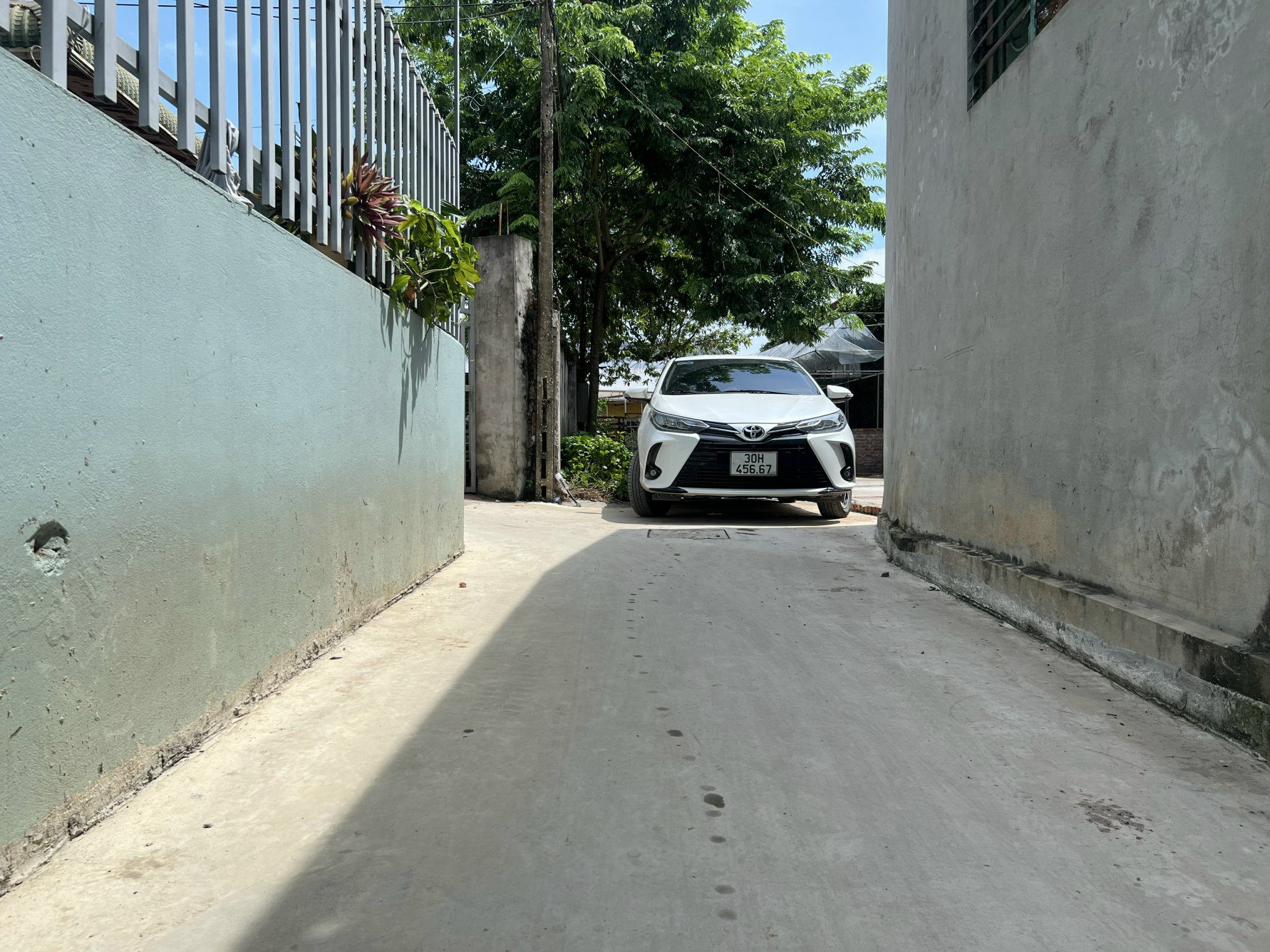 z5311828453959_ca85ae0e44a419b13082a08bb071cfbf