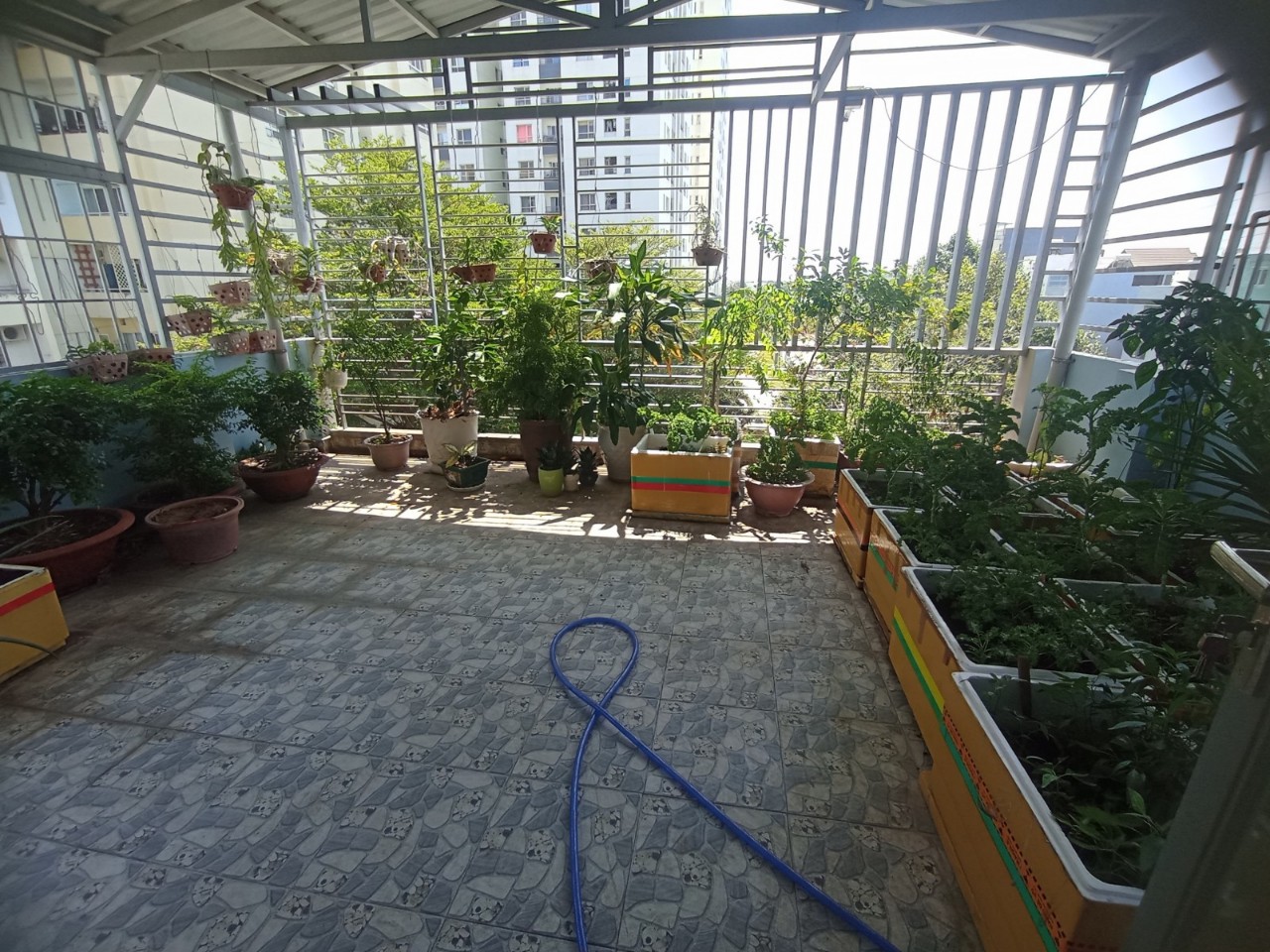 z5312710798568_9da5ad98756241bca728791f6d0b5e78