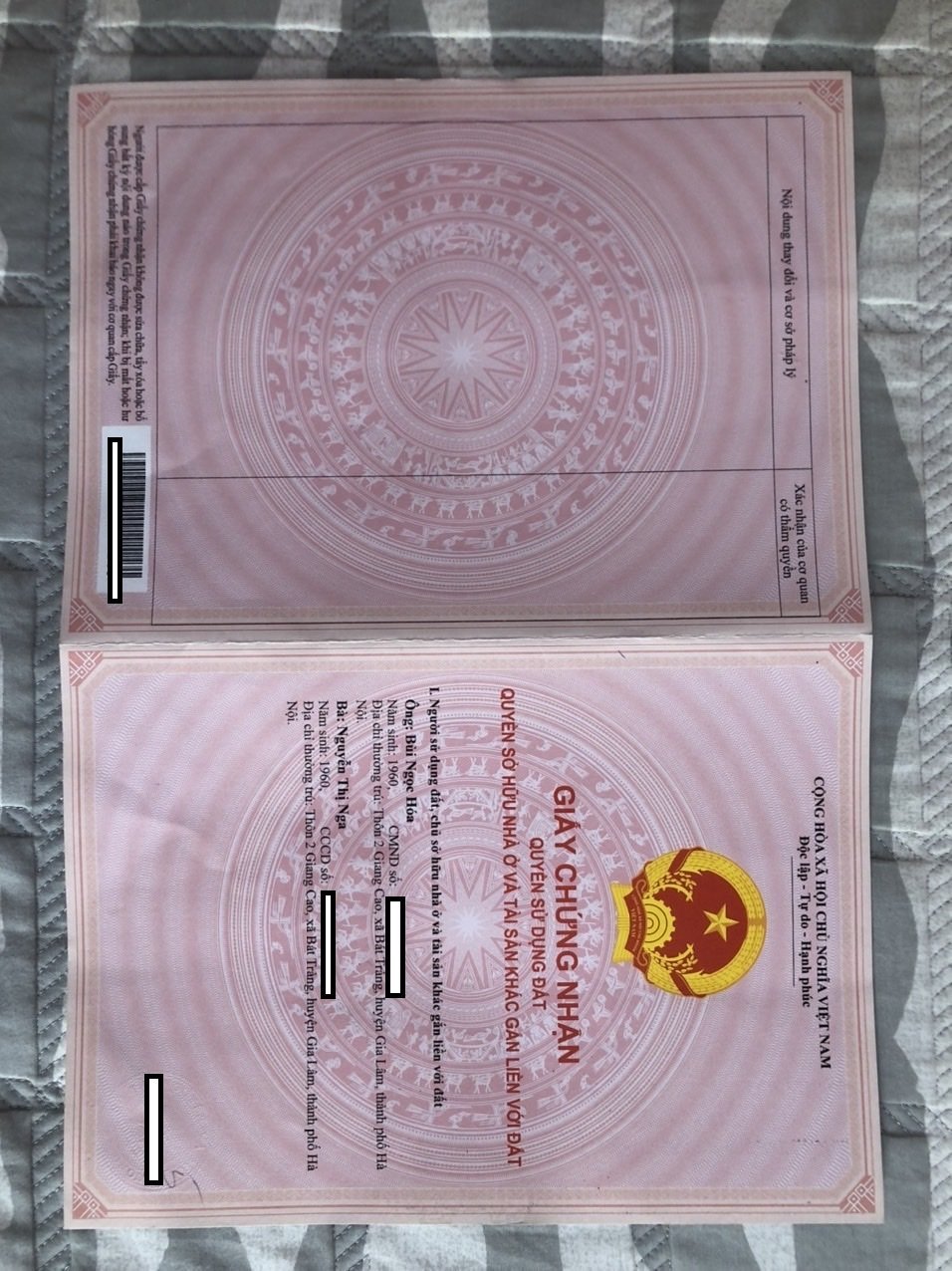 z5314601618706_049a31839f69dac0ff303ac32e7af505